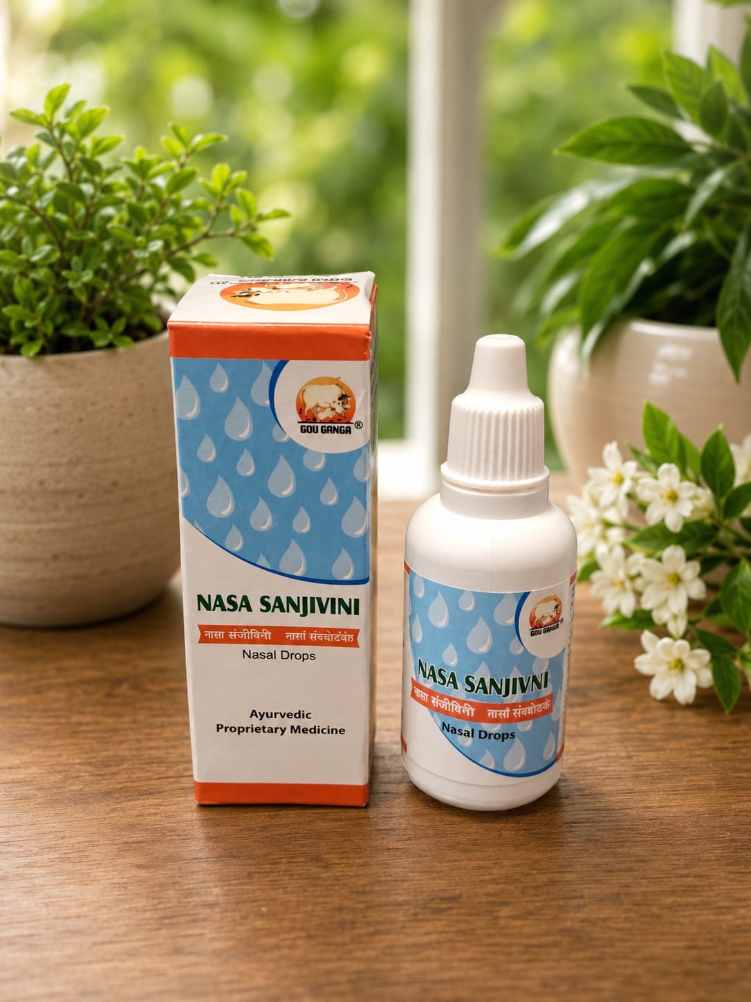 Gou Ganga Nasa Sanjivini
